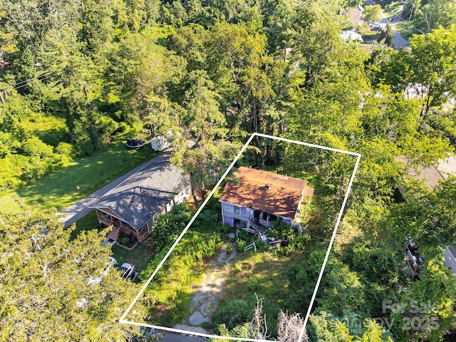 1040 W Chapel Rd, Asheville, NC 28803 - photo 9