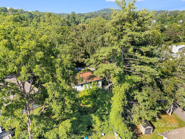 1040 W Chapel Rd, Asheville, NC 28803 - photo 10