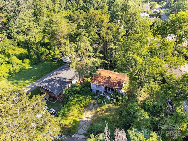 1040 W Chapel Rd, Asheville, NC 28803 - photo 13