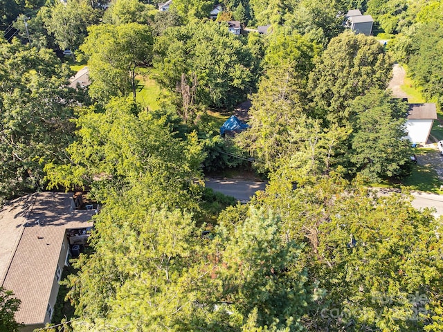 1040 W Chapel Rd, Asheville, NC 28803 - photo 14
