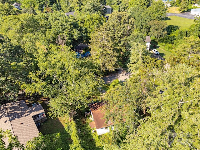 1040 W Chapel Rd, Asheville, NC 28803 - photo 15