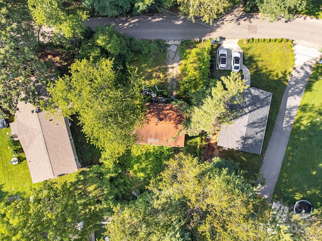 1040 W Chapel Rd, Asheville, NC 28803 - photo 16