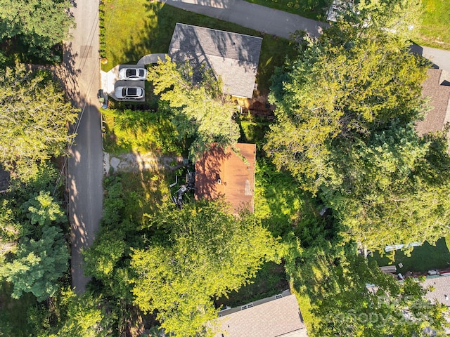 1040 W Chapel Rd, Asheville, NC 28803 - photo 17
