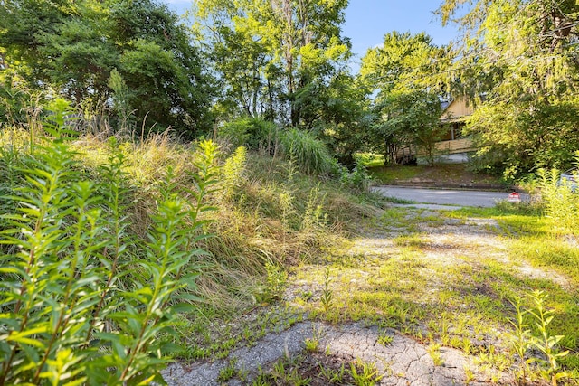 1040 W Chapel Rd, Asheville, NC 28803 - photo 22