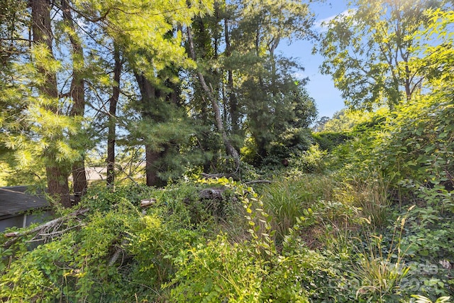1040 W Chapel Rd, Asheville, NC 28803 - photo 24