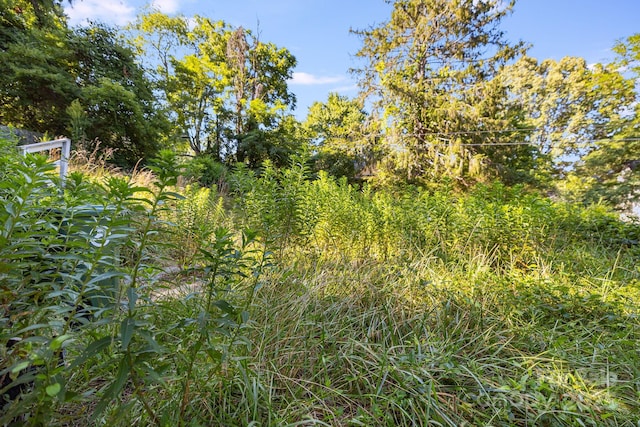 1040 W Chapel Rd, Asheville, NC 28803 - photo 30
