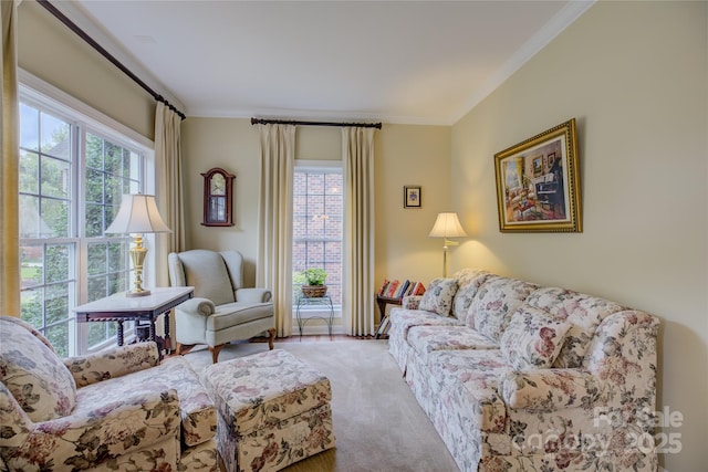 16719 Hammock Creek Pl, Charlotte, NC 28278 - photo 6
