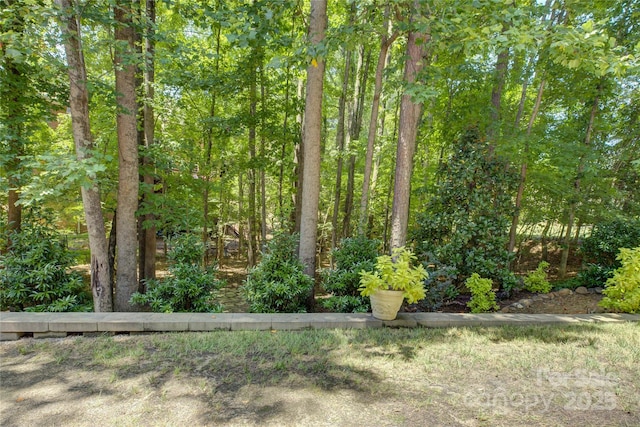 16719 Hammock Creek Pl, Charlotte, NC 28278 - photo 45