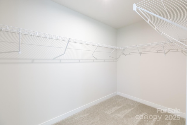 730 Bonica Ct, Lancaster, SC 29720 - photo 13