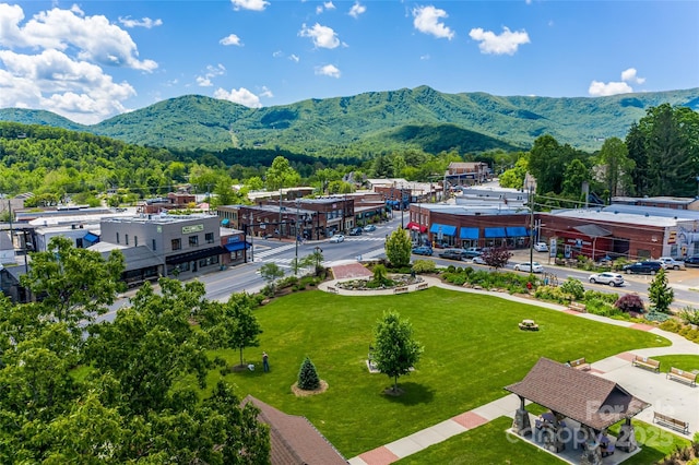 704 Azalea Ave, Black Mountain, NC 28711 - photo 25