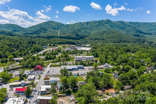 704 Azalea Ave, Black Mountain, NC 28711 - photo 27