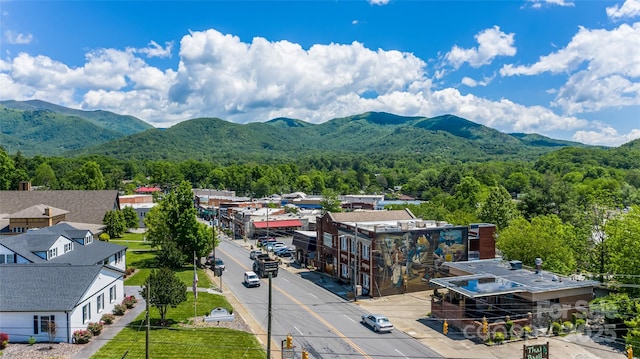 704 Azalea Ave, Black Mountain, NC 28711 - photo 26
