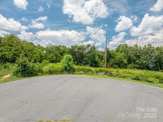 000 Flag Ln Unit 53, Vale, NC 28168 - photo 2