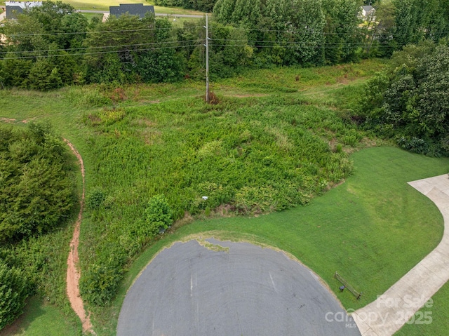 000 Flag Ln Unit 53, Vale, NC 28168 - photo 4