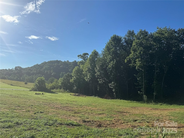3970 Parker Padgett Rd, Old Fort, NC 28762 - photo 2