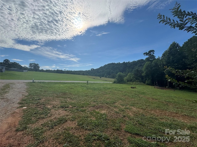 3970 Parker Padgett Rd, Old Fort, NC 28762 - photo 5