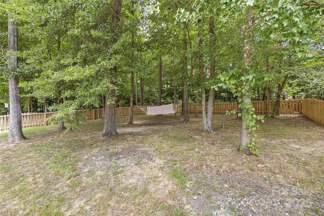 3018 Early Rise Ave, Indian Trail, NC 28079 - photo 32