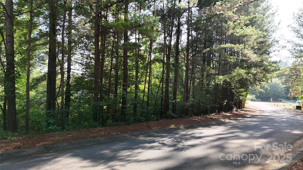6260 Riviera Run Estates Dr, Hickory, NC 28601 - photo 2