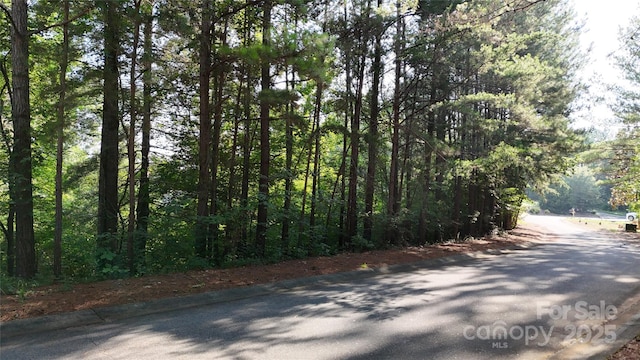 6260 Riviera Run Estates Dr, Hickory, NC 28601 - photo 2