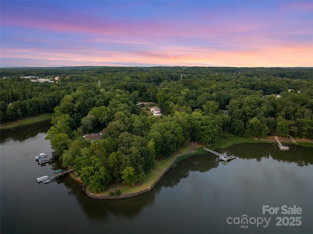 335 Carroll Cv, Clover, SC 29710 - photo 40