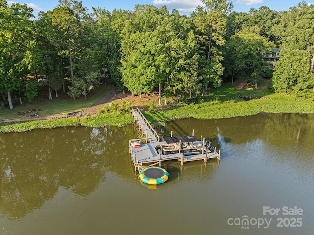 335 Carroll Cv, Clover, SC 29710 - photo 41