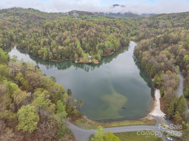 590 Raven Blvd, Lake Lure, NC 28746 - photo 19