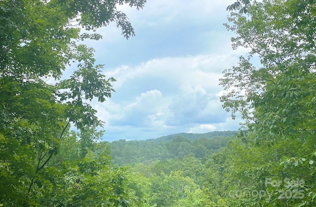 590 Raven Blvd, Lake Lure, NC 28746 - photo 2