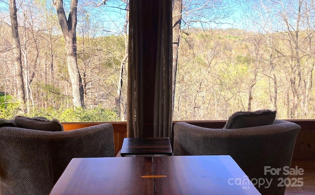 590 Raven Blvd, Lake Lure, NC 28746 - photo 26