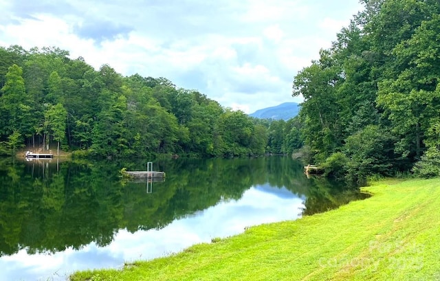 590 Raven Blvd, Lake Lure, NC 28746 - photo 18