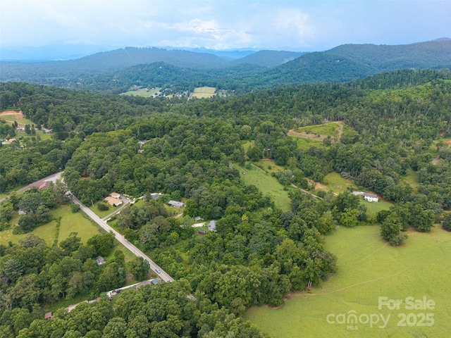 562 Concord Rd, Fletcher, NC 28732 - photo 4