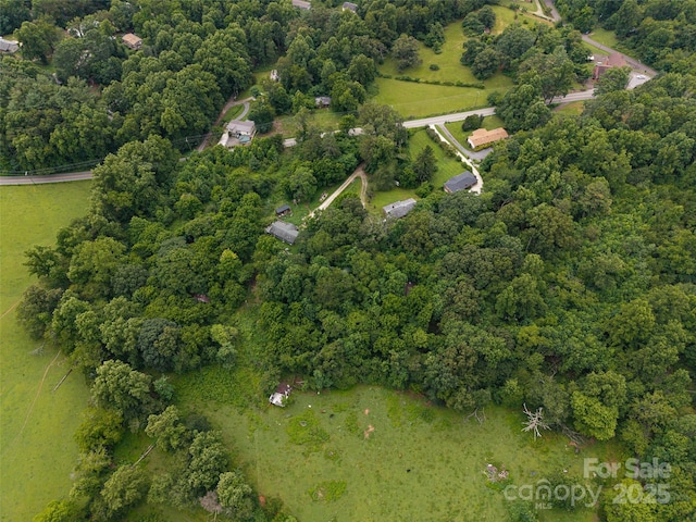 562 Concord Rd, Fletcher, NC 28732 - photo 6