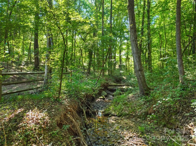 171 Shenandoah Loop, Troutman, NC 28166 - photo 34