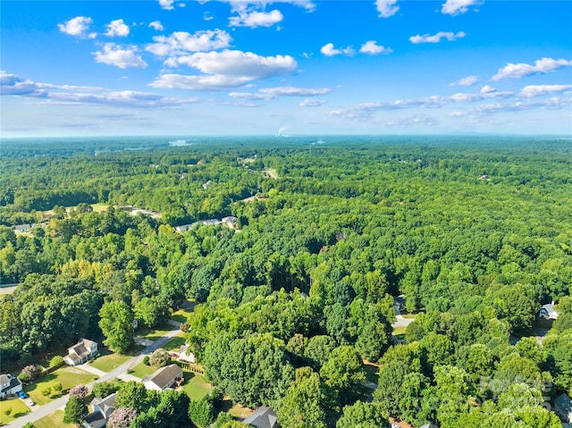 171 Shenandoah Loop, Troutman, NC 28166 - photo 45