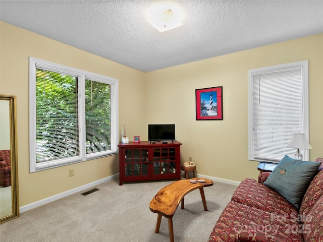 1820 Riverview Ct, Hendersonville, NC 28739 - photo 13