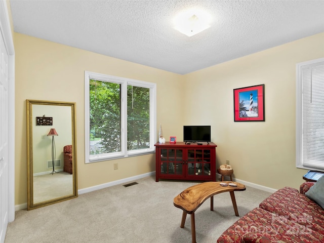 1820 Riverview Ct, Hendersonville, NC 28739 - photo 14