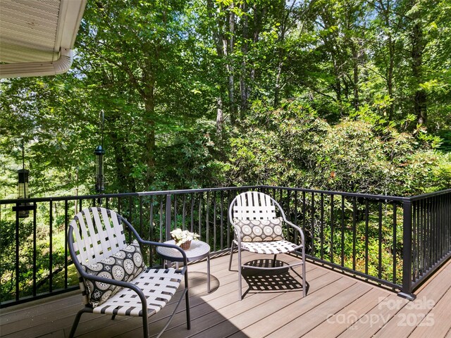 1820 Riverview Ct, Hendersonville, NC 28739 - photo 33