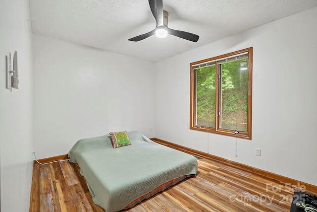 39 Spooks Branch Ext, Asheville, NC 28804 - photo 16