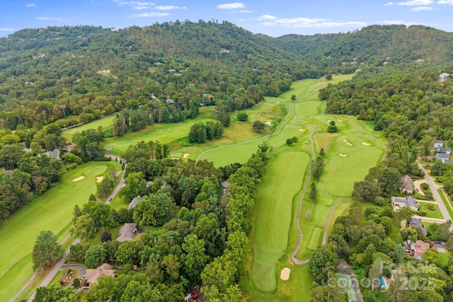 39 Spooks Branch Ext, Asheville, NC 28804 - photo 36