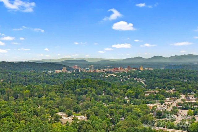 39 Spooks Branch Ext, Asheville, NC 28804 - photo 37