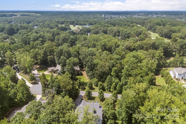 709 Woodcliff Ct, Marvin, NC 28173 - photo 47
