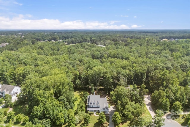 709 Woodcliff Ct, Marvin, NC 28173 - photo 48