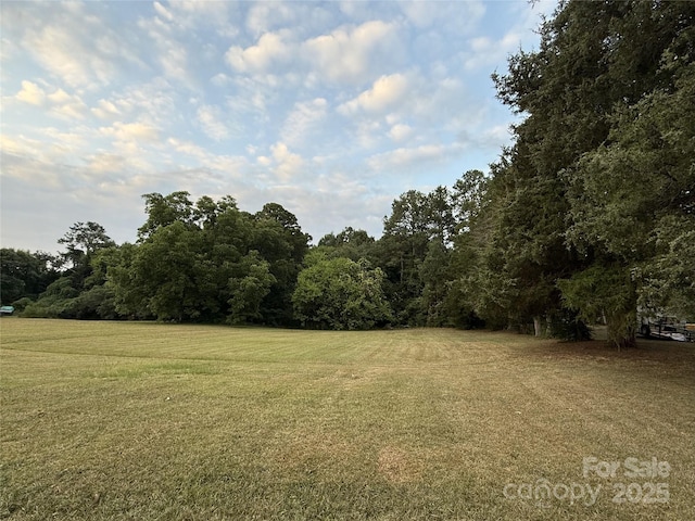 976 Peden Bridge Rd, Chester, SC 29706 - photo 33