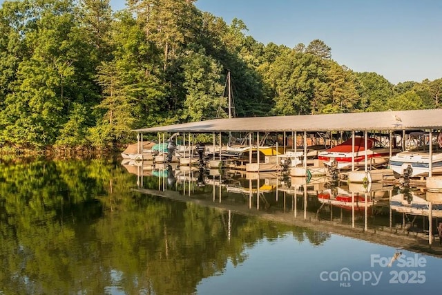 203 Riverview Ter, Lake Wylie, SC 29710 - photo 34