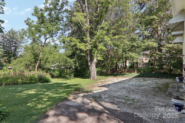 68 Mulberry Ct, Arden, NC 28704 - photo 28