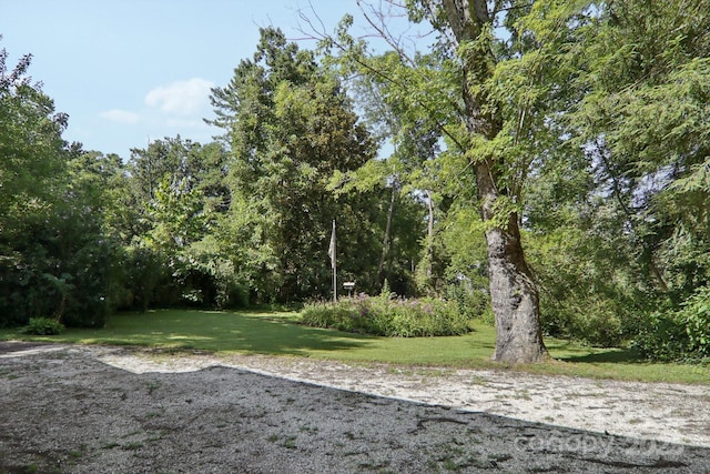 68 Mulberry Ct, Arden, NC 28704 - photo 29