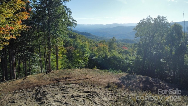 TBD Nicholas Knoll Rd, Bakersville, NC 28705 - photo 19