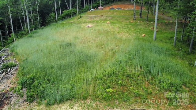 TBD Nicholas Knoll Rd, Bakersville, NC 28705 - photo 20