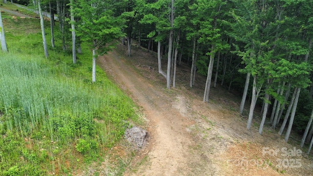 TBD Nicholas Knoll Rd, Bakersville, NC 28705 - photo 21