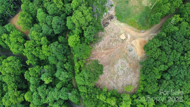 TBD Nicholas Knoll Rd, Bakersville, NC 28705 - photo 22