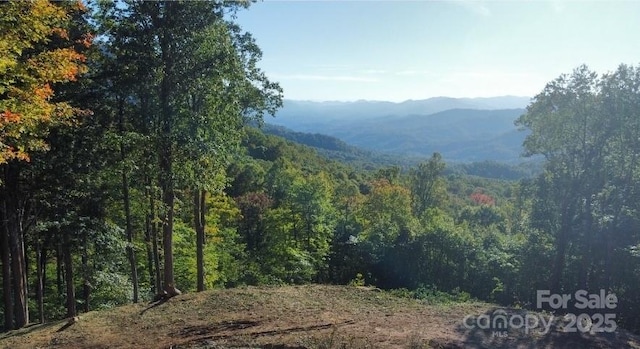 TBD Nicholas Knoll Rd, Bakersville, NC 28705 - photo 24